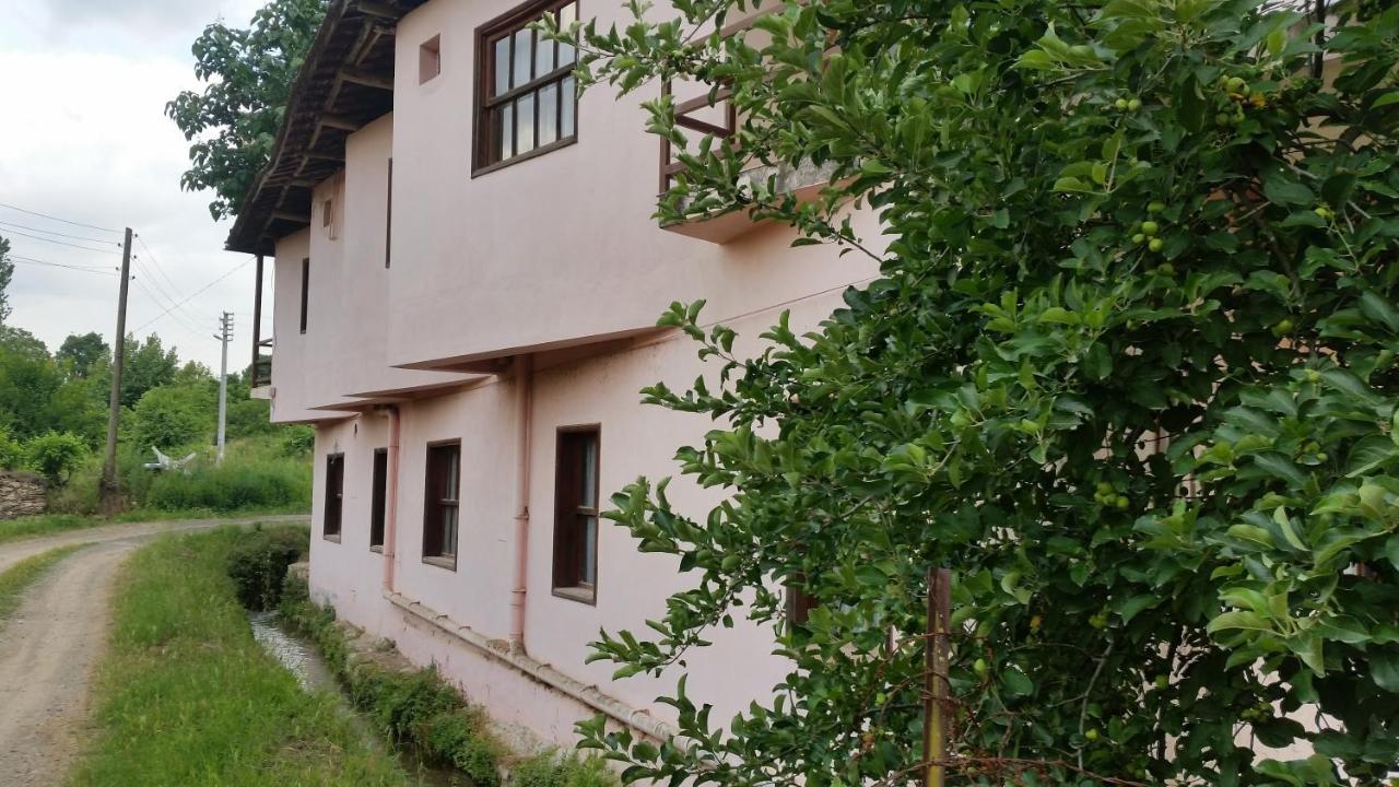 Elmas Pansiyon Karacasu  Экстерьер фото